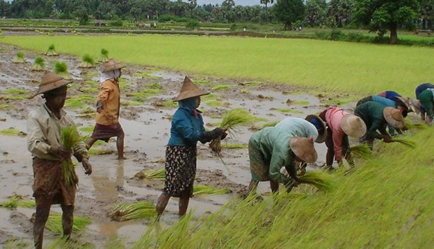 Japan to provide loans to Myanmar agricultural banks
