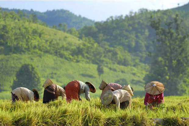 Low wages and high paying city jobs make it hard for Delta farmers