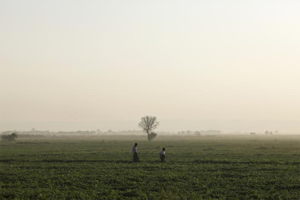 Myanmar's Bean Industry Playing Catch-Up As Country's Economy Regains Momentum