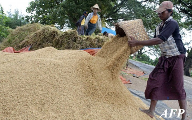 Myanmar uncertain of fulfilling Japan's offer to import rice